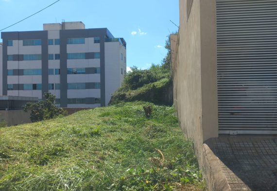 15e99fb2-a032-447c-8177-4389fa535b01