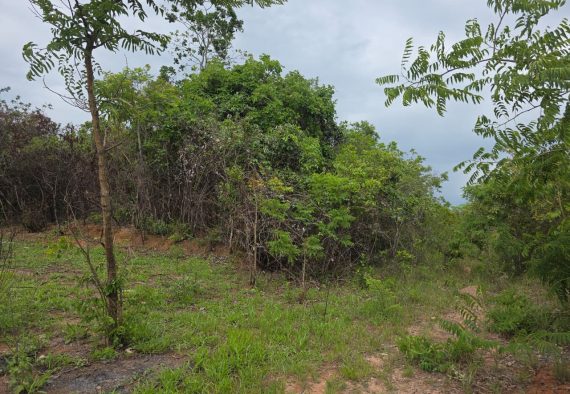 33643a1e-2a0e-41e3-86fa-3d3ffa417dcc