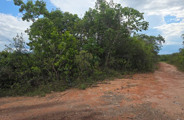 33fa4627-c8c2-482e-8017-15c715ae170f