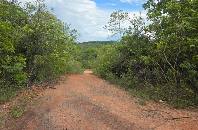 40fa1312-6584-4b0f-a120-82128df1352f