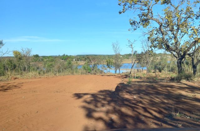 410a065f-d58f-406c-af40-cb2bdee363e2