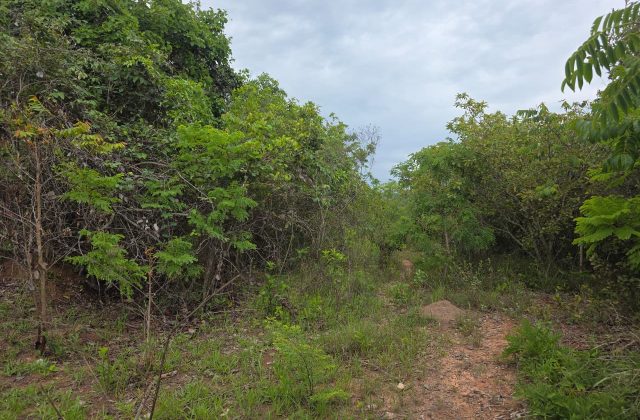 6955e1f5-f3e5-408a-bf6f-8b9bb964d11f