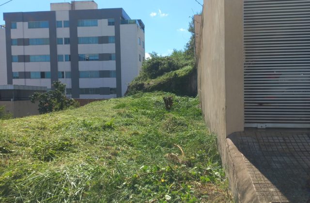 719633e5-d159-4cd5-b7fe-78f2e8fe57d9