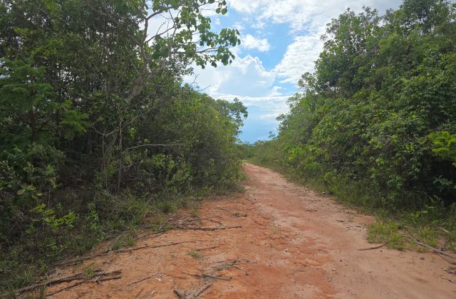 8d352ef0-93fb-4257-94aa-8360027eaaf9