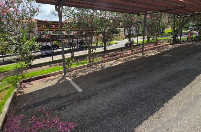 8dbdadb6-1aa7-4c01-8f78-459190b07cdc