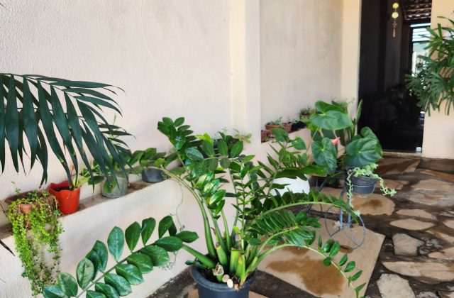 cf4ef584-b7d8-40d1-b527-27be0e02f989