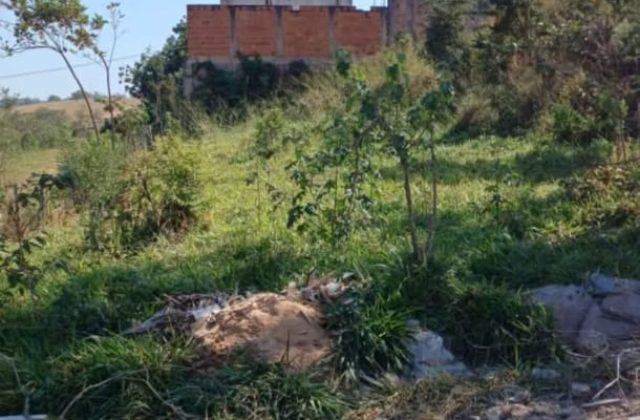 e7cac251-3ada-470f-a498-e1aefc475042