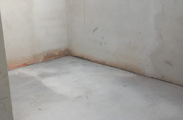 fe471c4c-38cc-4548-8713-1c4415b6e244